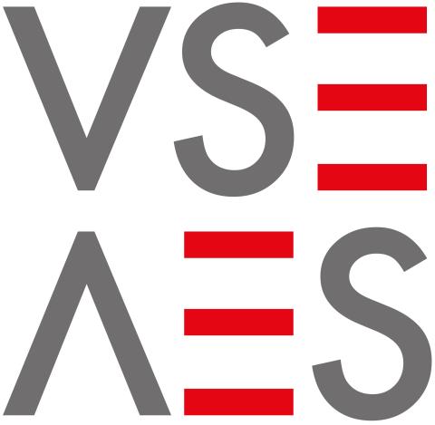 VSE Logo